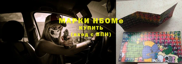 крисы Аркадак