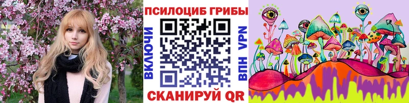 Псилоцибиновые грибы мицелий  Купить закладки  Карачаевск 
